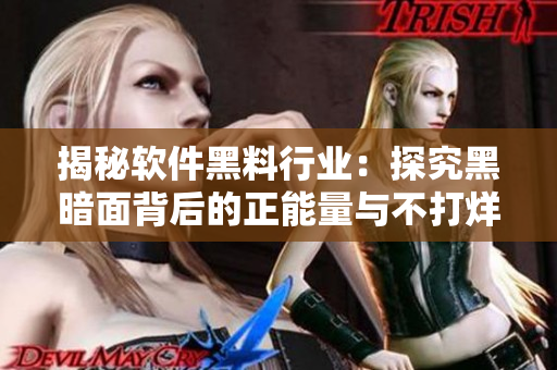 揭秘軟件黑料行業(yè)：探究黑暗面背后的正能量與不打烊的現(xiàn)實(shí)