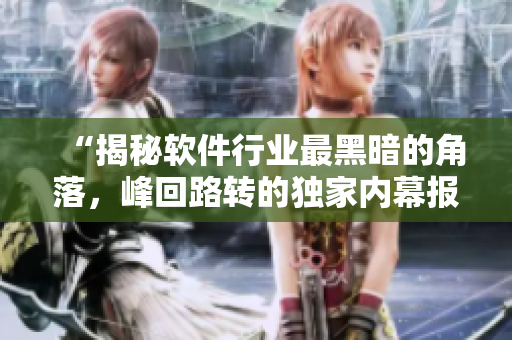 “揭秘軟件行業(yè)最黑暗的角落，峰回路轉的獨家內(nèi)幕報道”