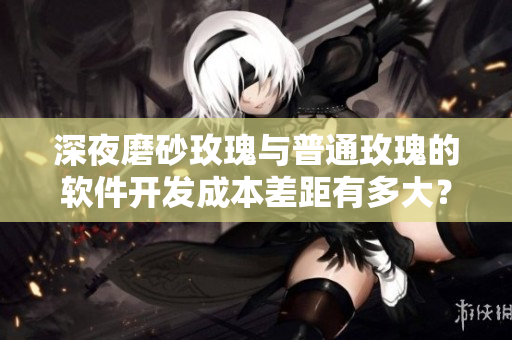 深夜磨砂玫瑰與普通玫瑰的軟件開發(fā)成本差距有多大？