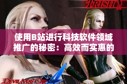 使用B站進行科技軟件領(lǐng)域推廣的秘密：高效而實惠的廣告策略