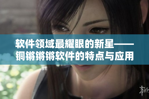 軟件領(lǐng)域最耀眼的新星——銅鏘鏘鏘軟件的特點(diǎn)與應(yīng)用全面解讀