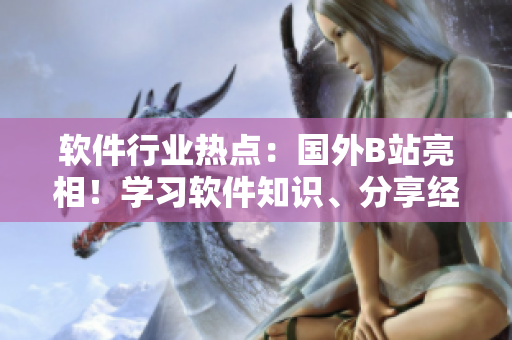 軟件行業(yè)熱點：國外B站亮相！學(xué)習(xí)軟件知識、分享經(jīng)驗的好去處。