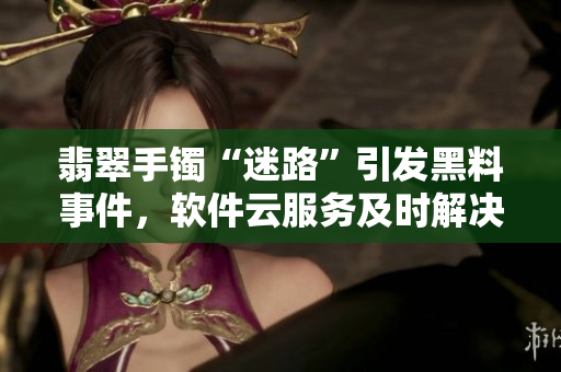 翡翠手鐲“迷路”引發(fā)黑料事件，軟件云服務(wù)及時(shí)解決之道
