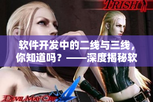 軟件開發(fā)中的二線與三線，你知道嗎？——深度揭秘軟件開發(fā)中的團(tuán)隊(duì)分工
