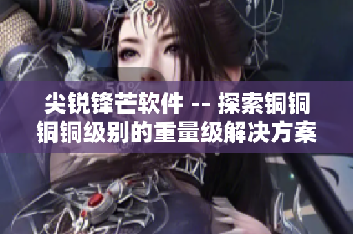 尖銳鋒芒軟件 -- 探索銅銅銅銅級別的重量級解決方案