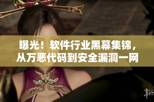 曝光！軟件行業(yè)黑幕集錦，從萬惡代碼到安全漏洞一網(wǎng)打盡