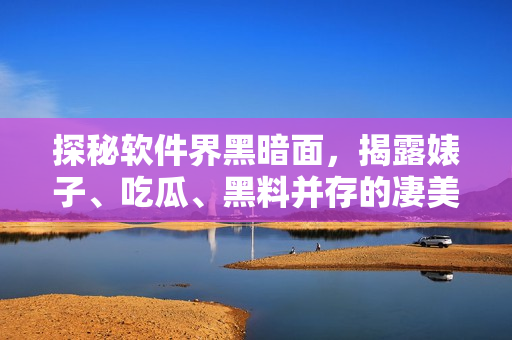 探秘軟件界黑暗面，揭露婊子、吃瓜、黑料并存的凄美景象