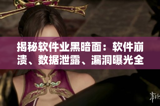揭秘軟件業(yè)黑暗面：軟件崩潰、數(shù)據(jù)泄露、漏洞曝光全拿出來