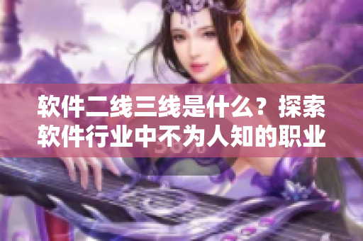 軟件二線三線是什么？探索軟件行業(yè)中不為人知的職業(yè)發(fā)展路徑