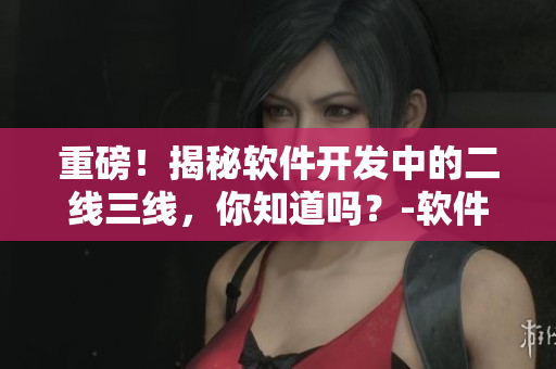 重磅！揭秘軟件開發(fā)中的二線三線，你知道嗎？-軟件開發(fā)之旅