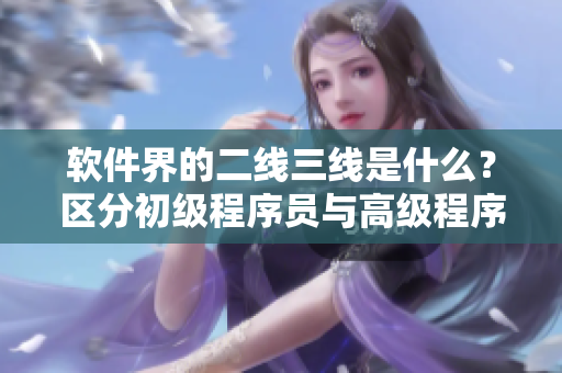 軟件界的二線(xiàn)三線(xiàn)是什么？區(qū)分初級(jí)程序員與高級(jí)程序員的技能層級(jí)！