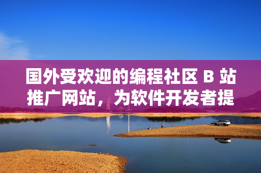 國外受歡迎的編程社區(qū) B 站推廣網(wǎng)站，為軟件開發(fā)者提供學(xué)習(xí)交流平臺