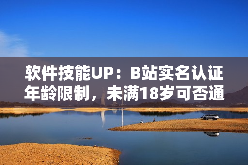 軟件技能UP：B站實名認(rèn)證年齡限制，未滿18歲可否通過？