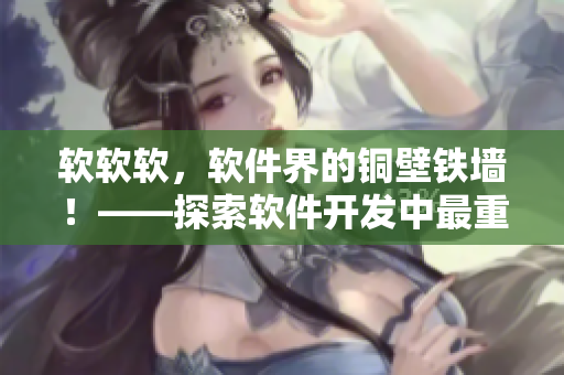 軟軟軟，軟件界的銅壁鐵墻！——探索軟件開(kāi)發(fā)中最重要的穩(wěn)定性問(wèn)題